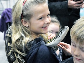 Shayden Guetter, 8, of Mitchell, is all smiles as she proudly holds this Burmese python but little brother Weston isn’t so sure judging by his reaction during the West Perth Library’s Family Day Sciensational Sssnakes! educational presentation held last Monday, Feb. 19 at the Mitchell & District Community Centre. ANDY BADER/MITCHELL ADVOCATE