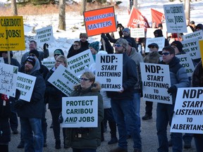 Local residents and other Albertans protest the Caribou Range Plan and its potential impact on forestry jobs on the steps of the Alberta Legislature Building in Edmonton on Feb 22 (Taryn Brandell | Whitecourt Star).