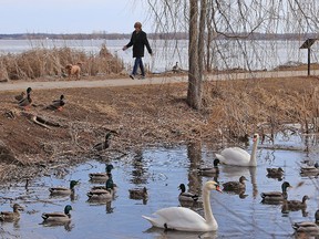 TIM MEEKS/THE INTELLIGENCER
Spring like conditions blanketed the Quinte region Wednesday with the mercury climbing to double digits. The Weather Network advises, however, to not get ahead of yourselves, as the temperature drops over the next few days with possible periods of snow expected as early as tonight.