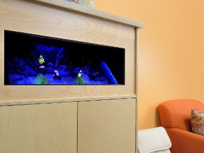 Dimplex offers a virtual aquarium featuring ultra-realistic fish swimming in a tropical environment complete with the sound of bubbling water.