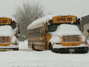 Snow day buses