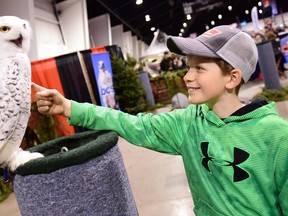 Logan Toupin of Bancroft had a bird’s-eye view with snowy owl Tiquak at the 70th annual Toronto Sportsmen’s Show in 2017. The event is returning to the International Centre in Toronto beginning on March 14. (File photo/CNW Group/Toronto Sportsmen’s Show)