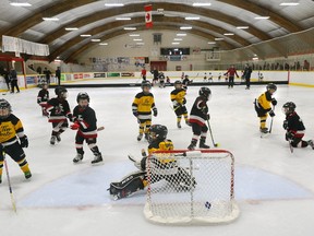 A goal is scored during a game of initiation level hockey at Oakridge area on Sunday March 4, 2018. The ice is divided into two or three pads to allow everyone to be engaged in the play. (MORRIS LAMONT, The London Free Press)