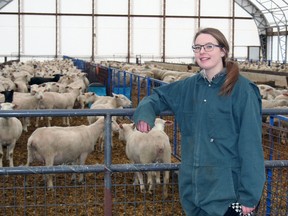 Emma Francis, a Grade 11 student of Mitchell District High School (MDHS), is pictured on the Brock farm where she is currently on co-op placement. SUBMITTED