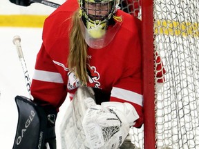 Lambton Central Lancers goalie Riley Blancher plays against the Wallaceburg Tartans during the LKSSAA 'A-AA' girls' hockey final at Wallaceburg Memorial Arena in Wallaceburg, Ont., on Thursday, March 1, 2018. (Mark Malone, Postmedia Network)