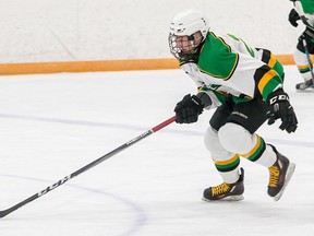 Hunter Chapman scored what proved to be the game-winning goal as the Amherstview Jets upset the Napanee Raiders 4-3 on Tuesday night to win their Provincial Junior Hockey League Tod Division semifinal, also 4-3.