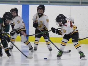 Swiping for the puck as Lucknow takes on Mount Forest during the 2018 Ron Alton Tyke Tournament at the Lucknow arena on Saturday March 3, 2018.