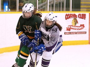 Montanna Thompson of the Lockerby Vikings battles for the puck with Hanna Smith of the Lo-Ellen Park Knights during the girls N.O.S.S.A. championships in Sudbury, Ont. on Monday March 5, 2018. Gino Donato/Sudbury Star/Postmedia Network