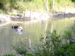 The St. Clair Region Conservation Authority is continuing research into mussels in the north branch of the Sydenham this year, a part of the river system that hasn’t been extensively examined.
File photo/Postmedia Network