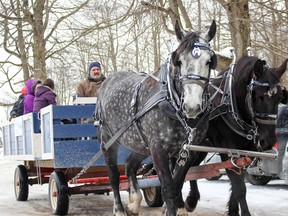 Carriage Driver Phil Wait shuttles visitors around the property. (Chris Funston/Woodstock Sentinel-Review)