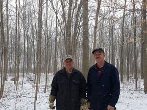 Bill Elgie, left, and his brother, Earl, are shown Tuesday in their Dawn Mills woodlot. Trevor Terfloth/Postmedia Network