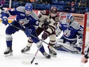 Cole Candella of the Sudbury Wolves  battles for the puck with Logan Denoble of the Peterborough Petes in front of Wolves goalie Marshall Frappier during OHL action in Sudbury, Ont. on Sunday, March 11, 2018. Gino Donato/Sudbury Star/Postmedia Network
