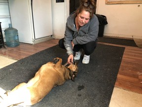 BRUCE BELL/THE INTELLIGENCER
Angie Maracle spends a moment with her dog Buttercup on Thursday afternoon. Maracle said the dog’s playmate, Bruiser, was shot and killed by a neighbour on Wednesday morning.