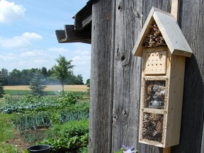 Biodiversity will be important as ever as we learn more about threats to the Earth's rain forests and green spaces closer to home. You can mark Mark's words on this: in 20 years there will be as many insect hotels as there are birdhouses in Canadian yards.