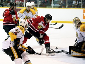 Owen Sound Attack's Jonah Gadjovich loses the puck as he approaches Sarnia Sting goalie Aidan Hughes in the second period at the Harry Lumley Bayshore Community Centre in Owen Sound, Ont., on Saturday, March 17, 2018. (GREG COWAN/Postmedia Network)