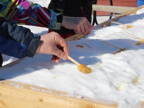 Participants took advantage of the maple toffee  spread on snow to have a tasty treat.