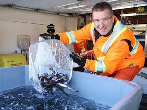 Glen Watson, superintendent of reclamation and decommissioning for Vale’s Ontario operations, places brook trout into holding tanks at Vale's greenhouse in Copper Cliff, Ont. on Friday March 23, 2018. More than 3,000 brook trout were transported and released into Broder 23 Lake, southeast of Kivi Park, as part of the company’s ongoing biodiversity program in Greater Sudbury. The fish were raised over several months in large tanks at the greenhouse. John Lappa/Sudbury Star/Postmedia Network