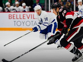 (Belleville Senators photo by Jason Scourse)