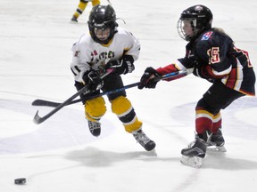 Abigayle Van Bakel (11) of the Mitchell Novice girls hockey team skates around a St. Thomas defender for the loose puck during Game 1 of their WOGHL ‘C’ division 1 final series last Saturday, March 23. The game ended in a 1-1 tie. ANDY BADER/MITCHELL ADVOCATE