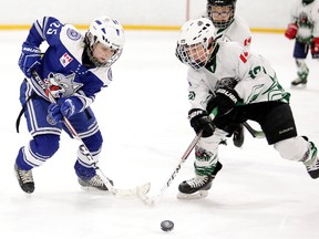 Kynlee Cresswell of the  Sudbury Lady Wolves A battles for the puck against Trenton Essex of the Elliot Lake Wildcats player during Nickel District Minor Hockey League playoff action Alan Secord division A atom 2 championship in Sudbury, Ont. on Sunday March 25, 2018. Gino Donato/Sudbury Star/Postmedia Network