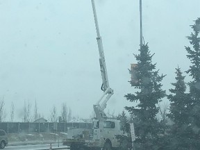 FortisAlberta has been replacing the streetlights within the City of Spruce Grove with LED lights this past week.