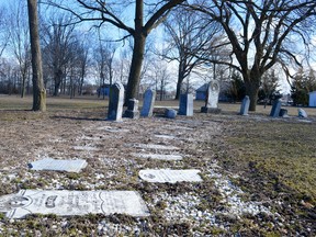 The Petrolia Heritage Committee has been working to recover gravestones dating back to the 1860s on North Street. A number of stones have been placed neatly near the road, but dozens were pushed over the hill and into the creek several decades ago. The committee hopes to honour and respect the original pioneers of Petrolia through restoration work. Melissa Schilz/Postmedia Network