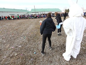 Scattered across the rear grass at the Seaforth Agriplex, 5,000 pieces of candy were available last Saturday for the 2018 Community Easter Egg Hunt. (Shaun Gregory/Huron Expositor)