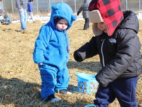 Noah Ruth and Caine Fraser, both just under 2, search for Easter eggs during a hunt at Dunvegan Gardens in Fort McMurray on Saturday, March 31, 2018. Vincent McDermott/Fort McMurray Today/Postmedia Network