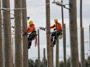Powerline technician students learn to work on poles at St. Clair College's Thames Campus. Handout/Postmedia Network