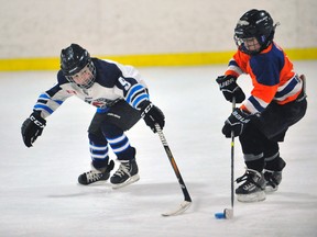 Hockey Canada has announced major changes within the tyke and novice levels beginning in the 2018-19 season. JACOB ROBINSON/Simcoe Reformer