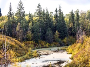 The Beaver Hills area in Strathcona County, located around 10 kilometres southeast of Sherwood Park, is up for further conservation efforts through a new $20-million campaign by the Nature Conservancy of Canada.

Photo courtesy Brent Calver