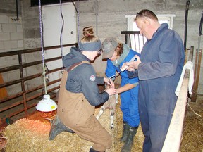 From left, students Erin Priddle and Cai MacDonald help teacher Dennis Watson tube feed one of the five goats that are a few weeks old in the barn at Chesley District Community School. Priddle is from Feversham and attends Grey Highlands Secondary School while MacDonald is from Allenford and registered for a fifth year of high school at Owen Sound District Secondary School after graduating from St. Mary’s High School. (Derek Lester/Postmedia Network)