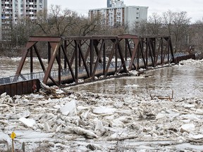 The Brant's Crossing pedestrian bridge will remain closed after being damaged by chunks of ice, tree branches and other debris surging down the Grand River in February. (Brian Thompson/Expositor file photo)