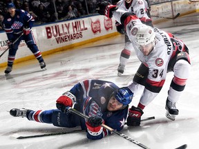(Rochester Americans photo)