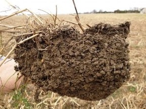 Improving Soil Health with Cover Crops