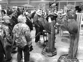 Local taxidermist Richard Reaume’s display is always a crowd pleaser at the SWOC Big Buck Sportsmen’s Show in Tilbury. File photo/Postmedia Network