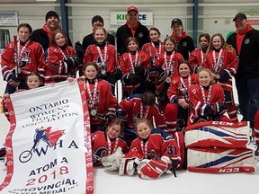 The Stratford Aces earned silver in the Atom A division at the OWHA provincial championships this past weekend in Vaughan. Front row from left: Ella Gracey, Grace Kipfer. Second row from left: Skylar Fadelle, Hannah Mogk, Olivia Rau, Katie Antonio, Aveleen Flood, Rylee Nethercott. Third row from left: Kenleigh Soper, Charlee Gethke, Olivia Van Straaten, Ella Boersma, Mckenzie Parsons, Kiara McGregor, Olivia Cote-Wawryszyn, Tessa Burdett, Victoria Campbell. Back row from left: Coaches Terry Soper, Rob Mogk, Jamie Antonio, Anna Mohr, Dean Burdett. (Contributed photo)
