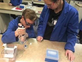 Derek Strickland and Dane Van Tonder practice extracting solutions before getting their DNA mixtures. (Courtesy of Bryn Lewis)