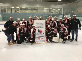 The Norfolk midget BB HERicanes captured the Ontario Women's Hockey Association provincial title for a second straight year this past weekend.
Back row from left, Darren Courrier, Jenna Foley, Mackenzie Cunningham, Erika Poredos, Teagan Byers, Hope Lesage, Erin Benko, Emma Couwenberg, Lana Hodgson, Leann Blake, Michelle Goble, Daniella Michaud, Meghan Costigan, Ralph Bauer. Front row, Marg Bauer, Leah Dykstra, Rachel Bauer, Kaitlyn Courrier, Amelia Skinner, Mikayla Coates.
Contributed photo