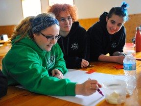 Delhi District Secondary School students Georgia Nix, Elizabeth Clarke and Matt Bailey work on a project during the Grand Erie District School Board environmental symposium at Camp Trillium outside Waterford on Wednesday. A total of 150 students from eight area high schools took part in the day-long event. JACOB ROBINSON/Simcoe Reformer