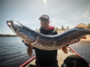 Mike Desforges shows off a newly-caught northern pike during a beautiful day on the water. Desforges’ aggressive approach and ability to survive on peanut butter and jam sandwiches helped him win the Top 50 Pike Series Angler of the Year award last year. Rapala Canada photo