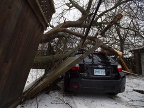 A car damaged by a fallen tree branch is shown in Toronto, Monday. Tens of thousands of people across southern and central Ontario remained without power this morning as the province's massive ice storm transitioned to drenching rain.
THE CANADIAN PRESS/Frank Gunn