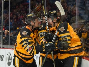An excited Navrin Mutter (No. 15, right) jumps on the boards in celebration of his first Ontario Hockey League goal on Nov. 25 against the Ottawa 67s. Mutter is joined by teammates Ben Garagan (No. 19, left) and Marian Studenic (No. 28, middle). (Brandon Taylor/Hamilton Bulldogs)