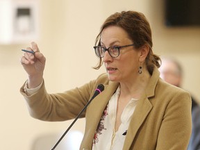 Elliot Ferguson/The Whig-Standard
Sarah Harmer speaks to Frontenac County council about concerns about a development on the north shore of Loughborough Lake.