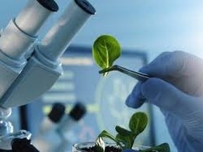 agri-food research