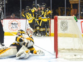 The Hamilton Bulldogs celebrate winger Nicholas Caamano’s goal on Kingston Frontenacs goaltender Jeremy Helvig at 9:39 of the first period. (John Rennison/The Hamilton Spectator)