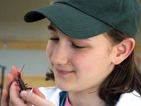 Entomica insect wrangler Lilly Alton holds Percy, a spiny devil, during Sault Ste. Marie Science Festival's launch at F.J. Davey Home on Friday.