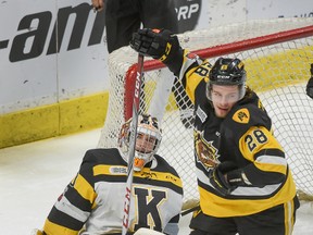 Hamilton Bulldogs winger Marian Studenic celebrates his first-period goal against Kingston goaltender Jeremy Helvig during Ontario Hockey League playoff action at FirstOntario Centre in Hamilton on Friday night. (Photo by Scott Gardner,/The Hamilton Spectator)