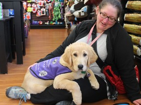 Eighteen-week-old Charm paid a visit on Saturday to Paulmac's Pets on Fairview Drive with her puppy-raiser, Christina Gilman, of Brantford. Charm is being trained through National Service Dogs. Michelle Ruby/The Expositor