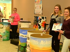 Several of the first, second and third-place finalist in this year's Garbage Can Decorating Competition gathered at the Festival Marketplace Shopping Centre Monday evening for the final awards ceremony. (Galen Simmons/The Beacon Herald)